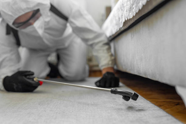 Professional Bed Bug Control technician working in Spartanburg, SC