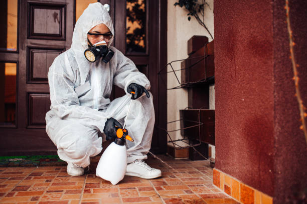 Reliable Bed Bug Control contractor in Spartanburg, SC by Nex Pest Control