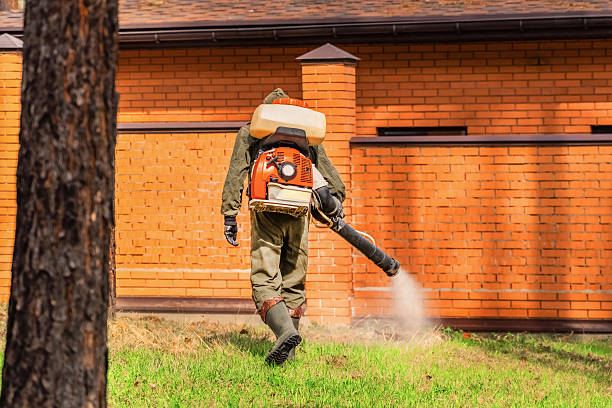 Trusted Cockroach Control service in Spartanburg, SC - Nex Pest Control